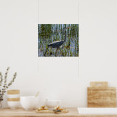 Great Blue Heron Bird Marsh Closeup Poster (Küche)