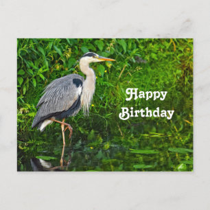 Great Blue Heron Bird Wildlife Foto Geburtstag Postkarte