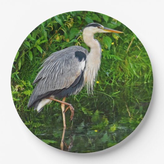 Great Blue Heron Bird Wildlife Foto Pappteller (Vorderseite)