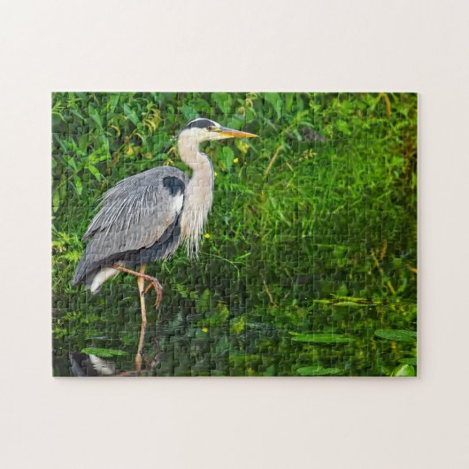 Great Blue Heron Bird Wildlife Foto Puzzle (Horizontal)