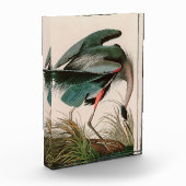 Great Blue Heron Birds of America Audubon Print Fotoblock (Links)
