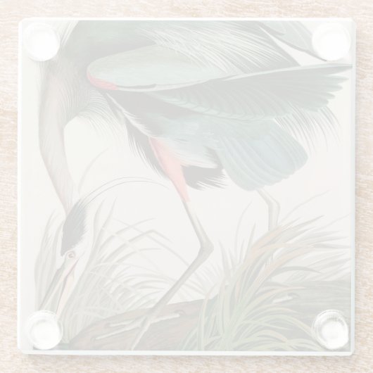 Great Blue Heron Birds of America Audubon Print Glasuntersetzer (Rückseite)