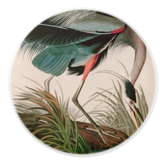 Great Blue Heron Birds of America Audubon Print Keramikknauf (Vorderseite)
