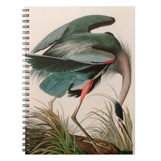 Great Blue Heron Birds of America Audubon Print Notizblock (Vorderseite)