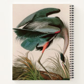 Great Blue Heron Birds of America Audubon Print Notizblock (Rückseite)