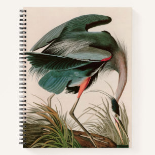 Great Blue Heron Birds of America Audubon Print Notizblock