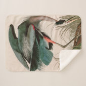 Great Blue Heron Birds of America Audubon Print Sherpadecke (Vorderseite (Horizontal))
