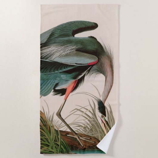 Great Blue Heron Birds of America Audubon Print Strandtuch (Vorderseite)