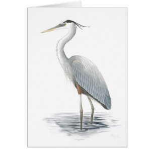 Great Blue Heron Card