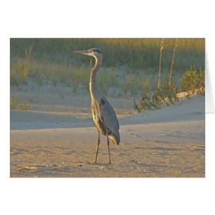 Great Blue Heron Card