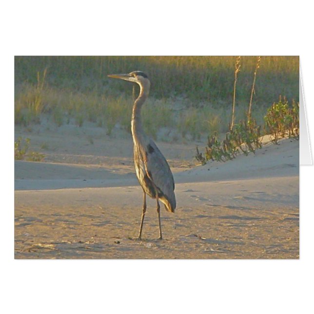 Great Blue Heron Card (Vorderseite (Horizontal))