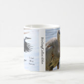 Great Blue Heron Coffee Tasse (Mittel)