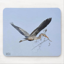 Great Blue Heron Coffee Tasse