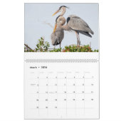 Great Blue Heron Courting Displays Calendar Kalender (Mär 2026)
