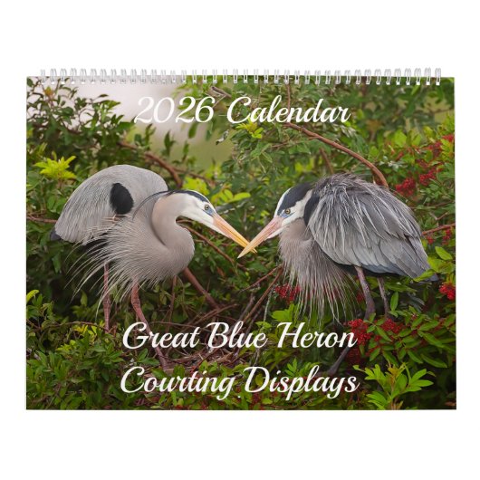 Great Blue Heron Courting Displays Calendar Kalender (Titelbild)