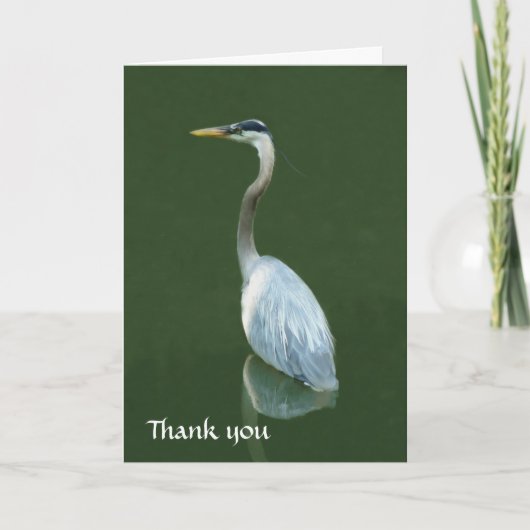 Great Blue Heron Dankeskarte (Vorderseite)