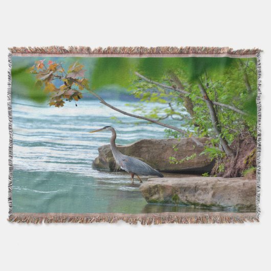 Great Blue Heron Decke (Vorderseite)