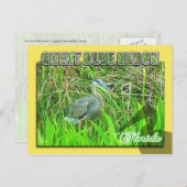 Great Blue Heron, Everglades National Park, FL Postkarte (Vorne/Hinten)