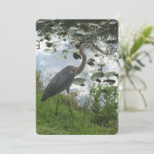 Great Blue Heron Feiertagskarte (Stehend Vorderseite)