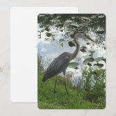 Great Blue Heron Feiertagskarte (Vorne/Hinten)