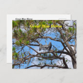 Great Blue Heron Feiertagspostkarte (Vorne/Hinten)