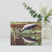 Great Blue Heron Fishing Postkarte (Stehend Vorderseite)