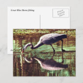 Great Blue Heron Fishing Postkarte (Vorne/Hinten)