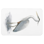 Great Blue Heron Flexi Magnet (Horizontal)