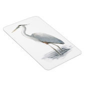 Great Blue Heron Flexi Magnet (Rechte Seite)