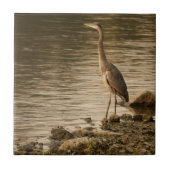 Great Blue Heron Fliese (Vorderseite)