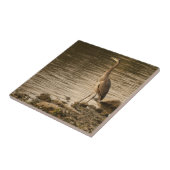 Great Blue Heron Fliese (Seite)