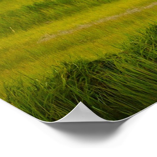 Great Blue Heron Flying Poster (Ecke)