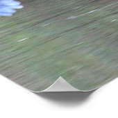 Great Blue Heron Flying Poster (Ecke)