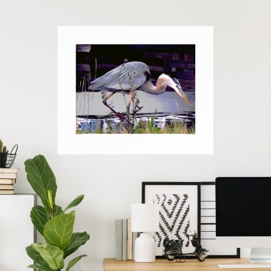 Great Blue Heron Foraging Poster (Heimbüro)