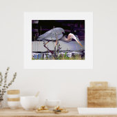 Great Blue Heron Foraging Poster (Küche)