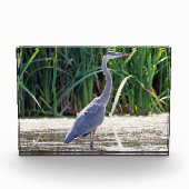 Great Blue Heron Foto Block (Vorderseite)