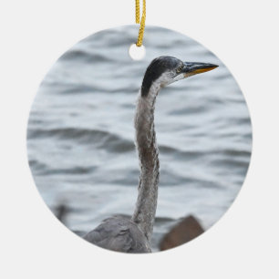 Great Blue Heron Foto Ornament