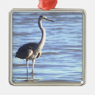 Great Blue Heron Foto Ornament Aus Metall