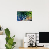 Great Blue Heron Foto Poster (Heimbüro)