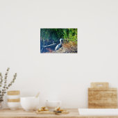 Great Blue Heron Foto Poster (Küche)