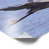 Great Blue Heron Fotodruck (Ecke)