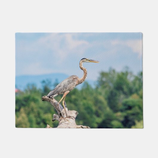 Great Blue Heron Fußmatte (Vorderseite)