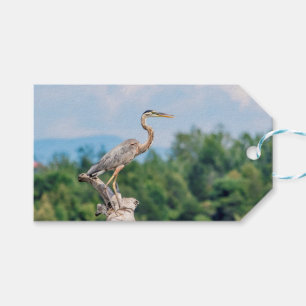 Great Blue Heron Geschenkanhänger