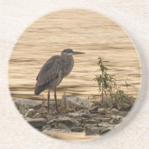 Great Blue Heron Getränkeuntersetzer