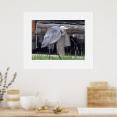 Great Blue Heron Gewartet Poster (Küche)