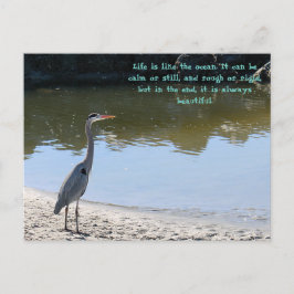 Great Blue Heron Hilton Head SC mit Ozean Postkarte