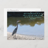 Great Blue Heron Hilton Head SC mit Ozean Postkarte (Vorne/Hinten)