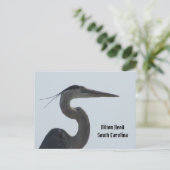 Great Blue Heron Hilton Head SC Postcard Postkarte (Stehend Vorderseite)
