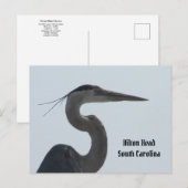Great Blue Heron Hilton Head SC Postcard Postkarte (Vorne/Hinten)