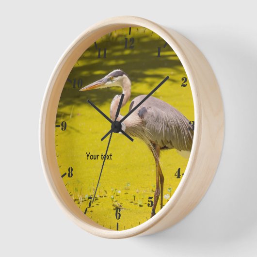 Great Blue Heron im Teich Uhr (Winkel)